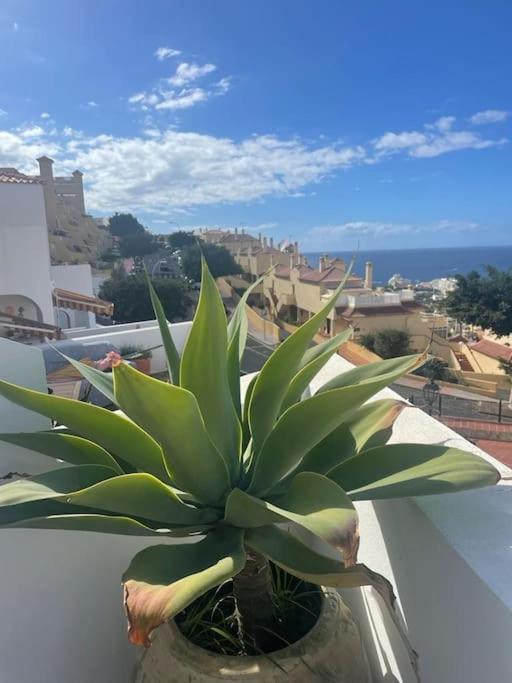Private Pool Panoramic Views * Costa Adeje (Tenerife)