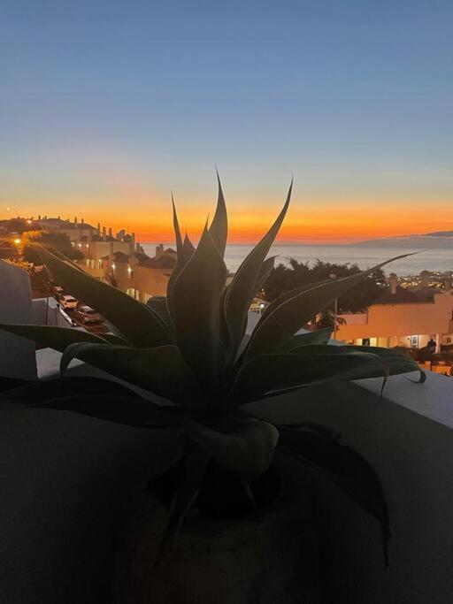 Villa Costa Adeje Private Pool Panoramic Views